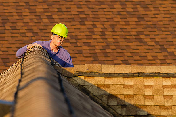 Professional Roofing Contractor in Glen Ellyn, IL
